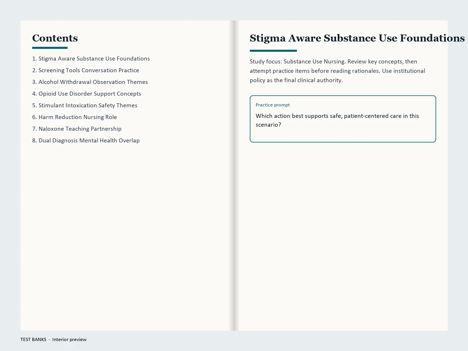 Substance Use Nursing Care Companion gallery